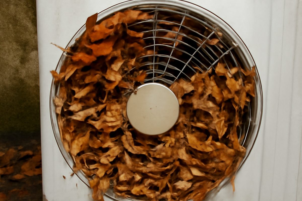 Feuilles automne ventilateur